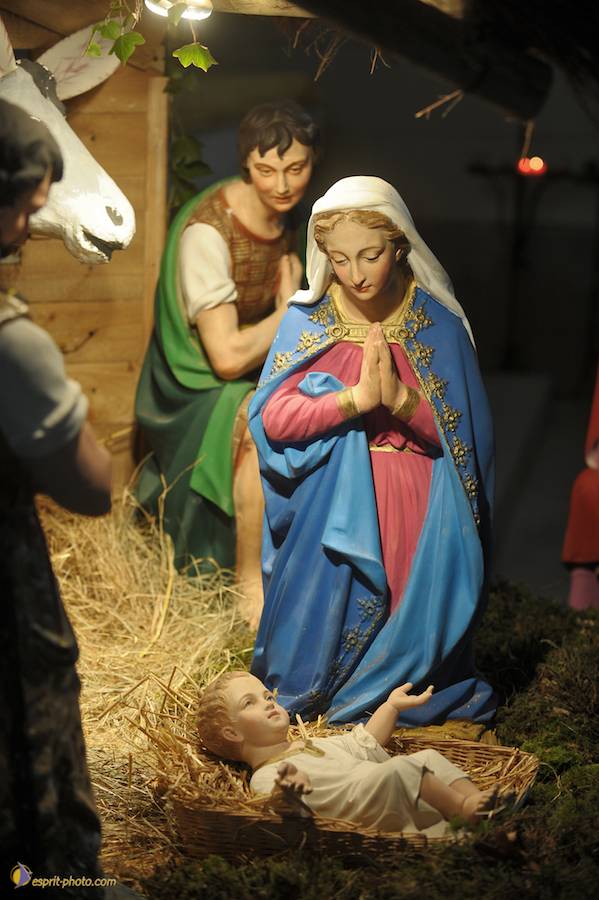 Nom de l'image : D30043125_1_(c)Norbert-JUNG — Description :